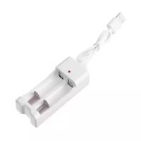 Устройство зарядное для аккумуляторов АА и ААА, USB, ток заряда 250 мА, белое (Luazon Home)