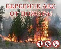 Россия Аншлаг противопожарный «Берегите лес от пожара!» 1000х800 мм