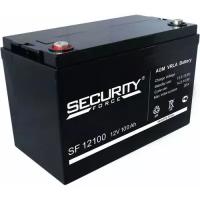 Для охранно-пожарных систем Аккумулятор Security Force SF 12100