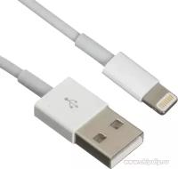 P7 8pin Apple Lightning белый, Кабель USB для iPhone/iPad/iPod