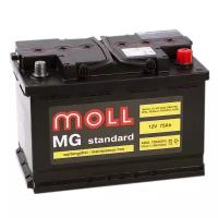 Аккумулятор Moll MG Standard 75 ач оп низкий