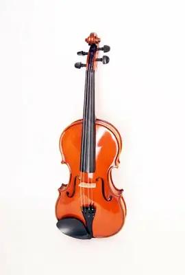Strunal 337W-4/4 Скрипка концертная