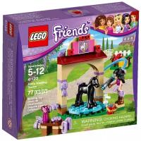 Конструктор LEGO Friends 41123 Прачечная Кольта