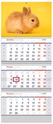 Календарь квартальный "Символ года", с бегунком, 2023 год