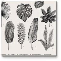 Заказать гербарий растений по ботанике