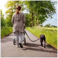 Набор для пробежек с собакой со светоотражающим поясом (серый)
