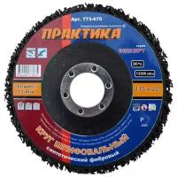 Шлифовальный круг ПРАКТИКА 773-675 115 мм