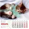 Календарь настенный перекидной на 2023 год (29,5 см* 29,5 см). Милые котята