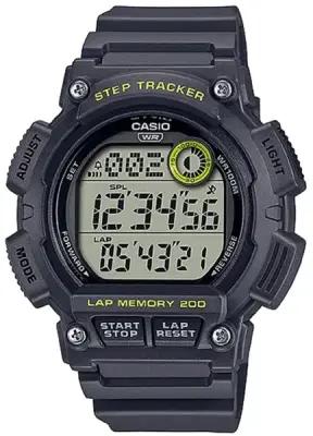 Наручные часы Casio Collection WS-2100H-8A